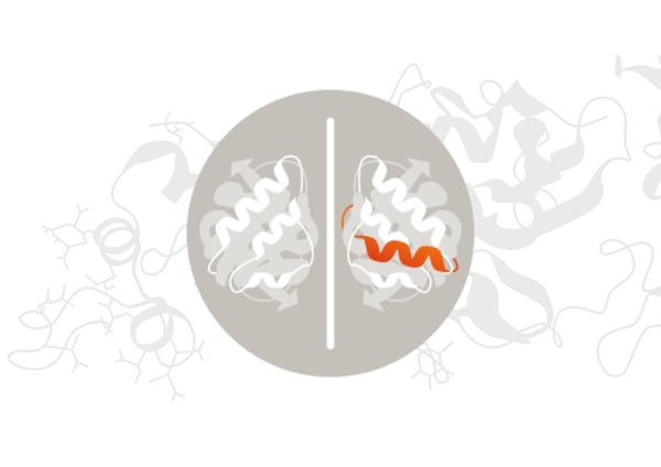 Biosimilars and Biobetters_Proteins copy 2-01