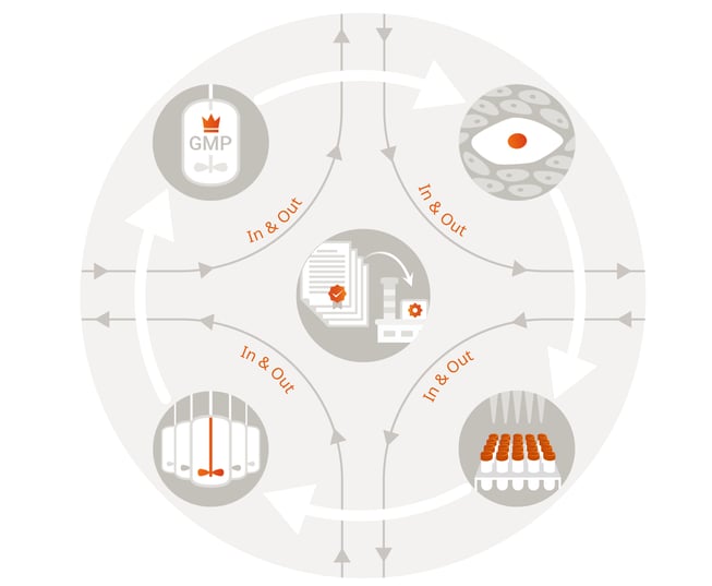 Techology Transfer Infographic