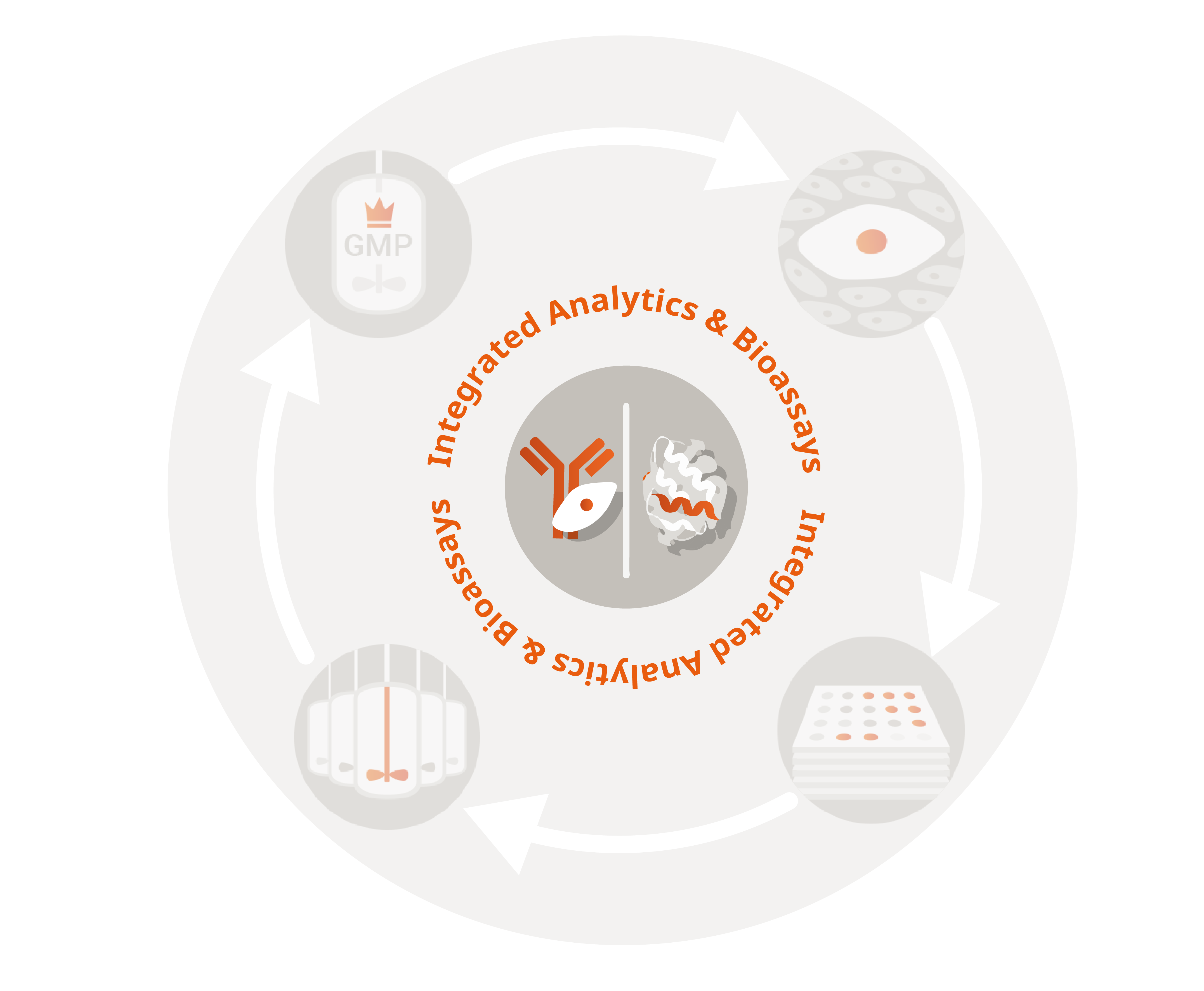 Proteins_Analytics & Bioassays_Proteins_Proteins_Proteins