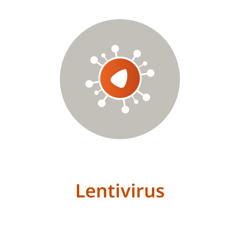 Lentivirus