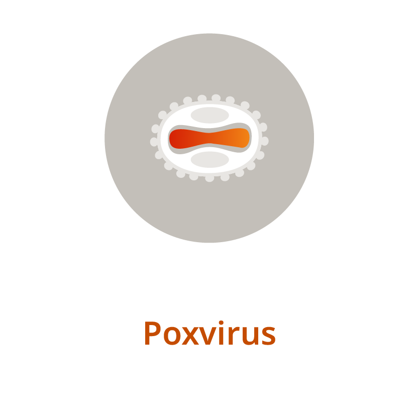 Poxvirus