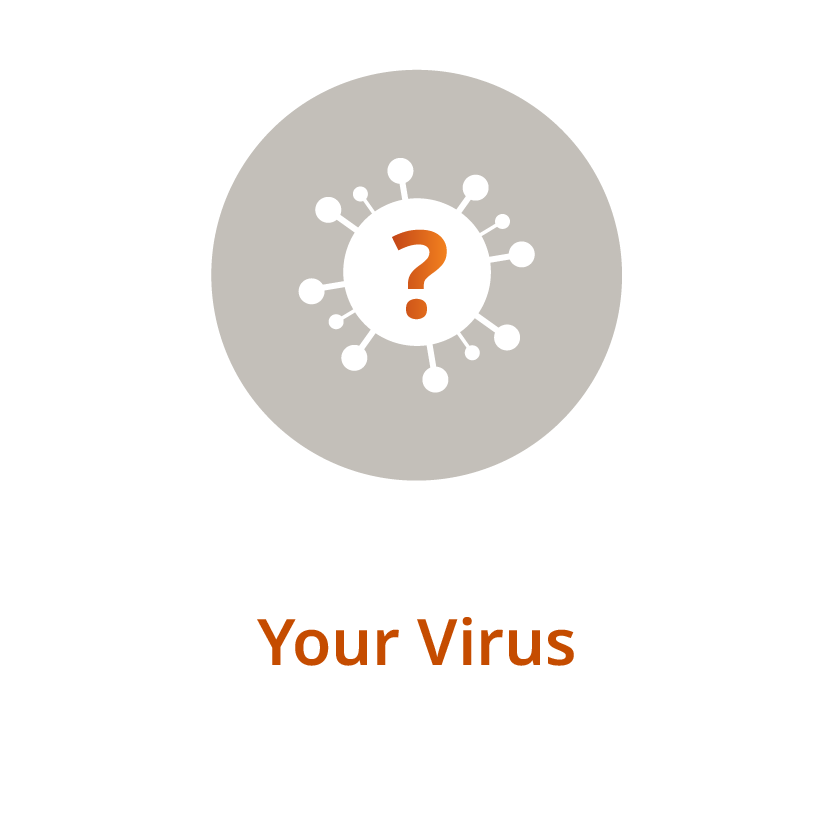 Your Virus