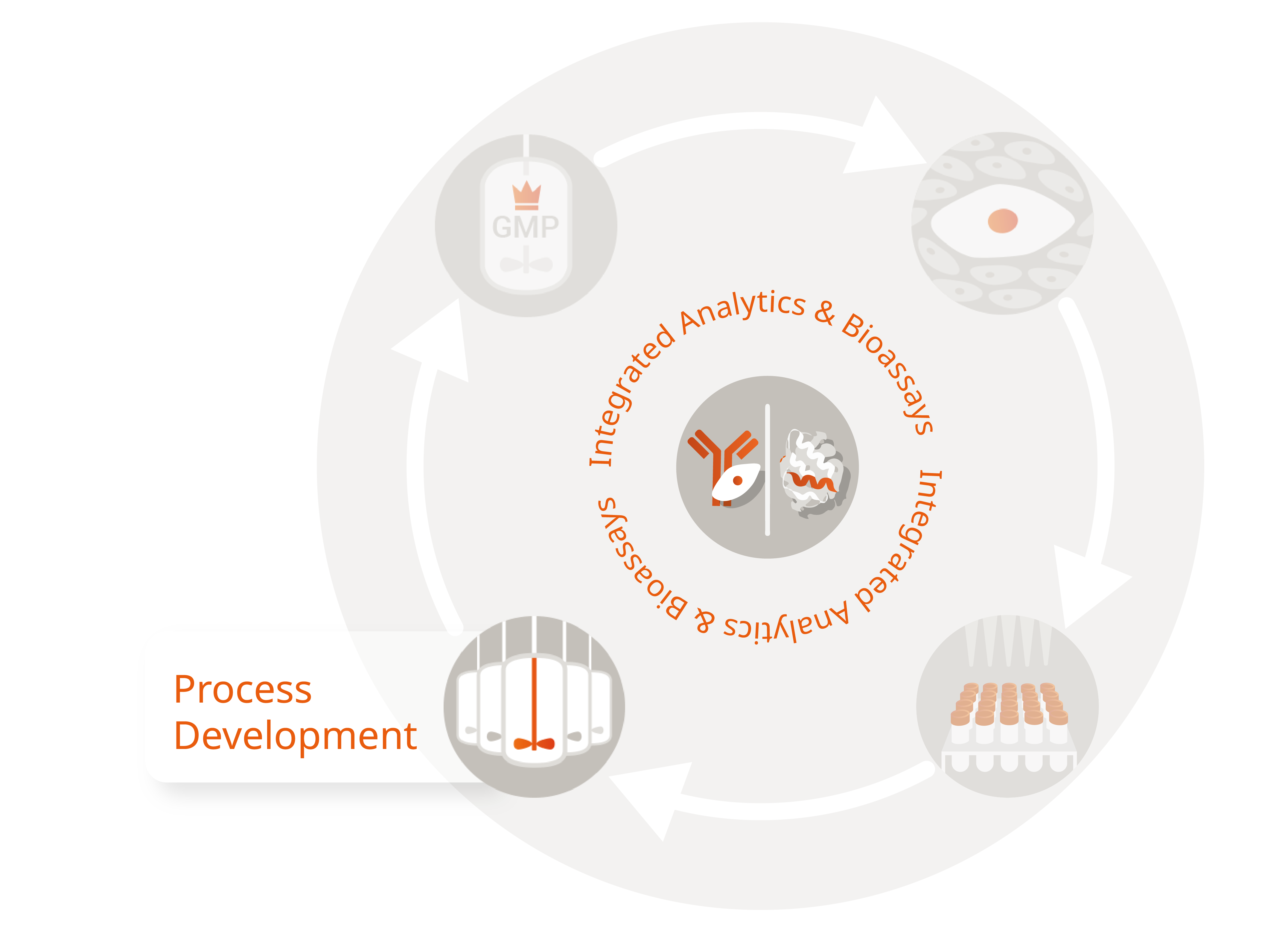 In-a-nutshell_infographics_Process Development-14