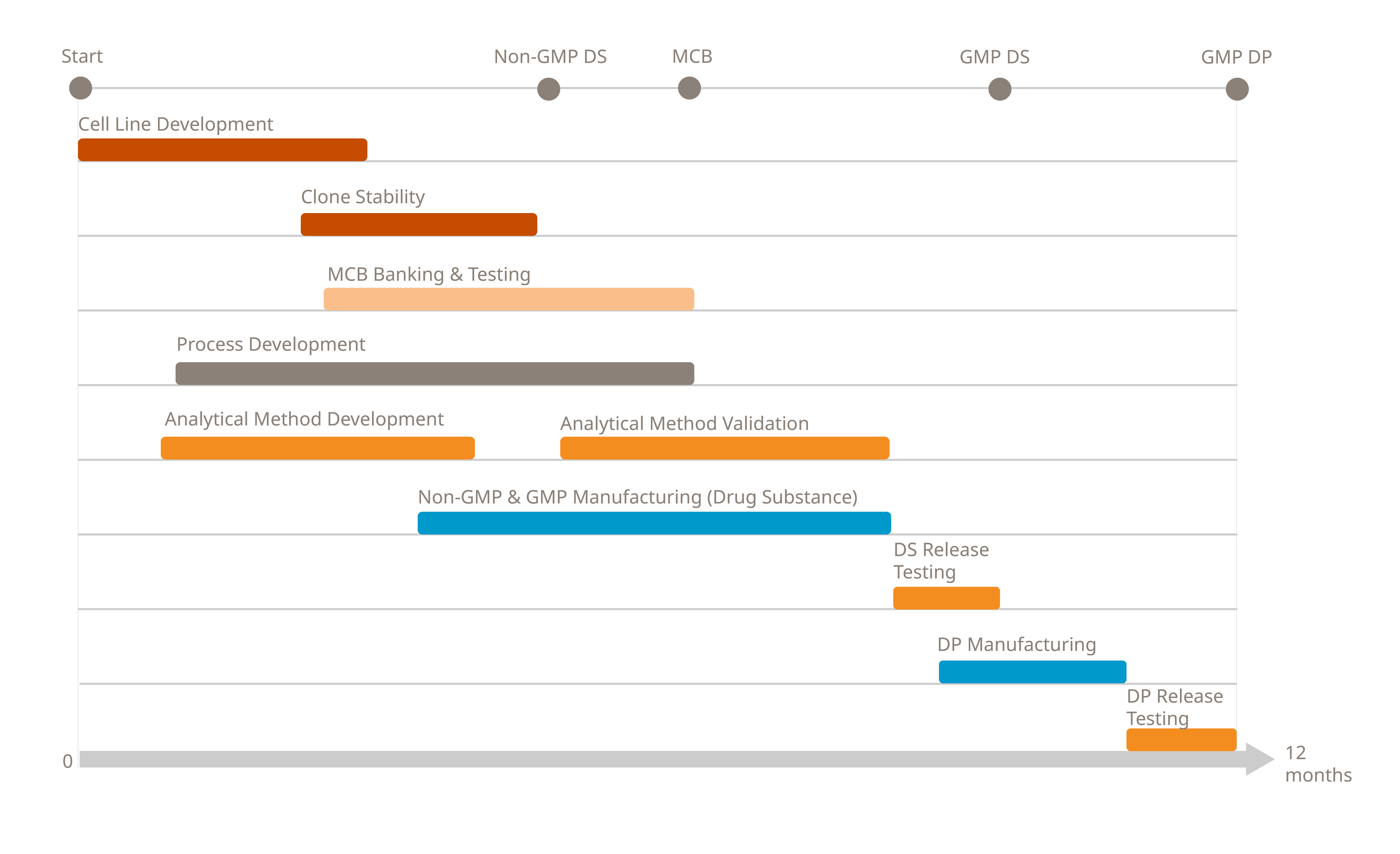 Accelerated Timelines Edited-14