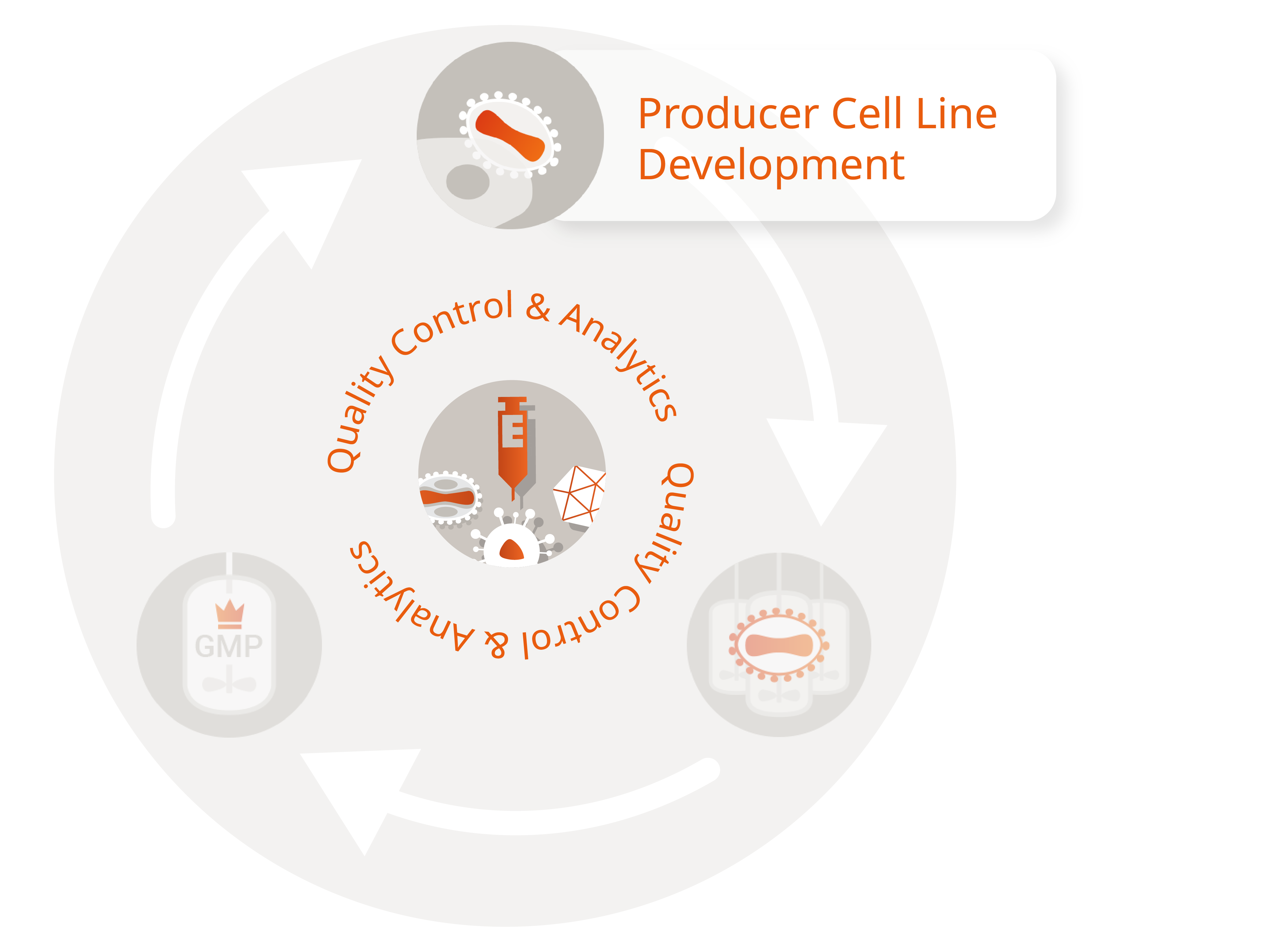 Virals Producer Cell line Dev